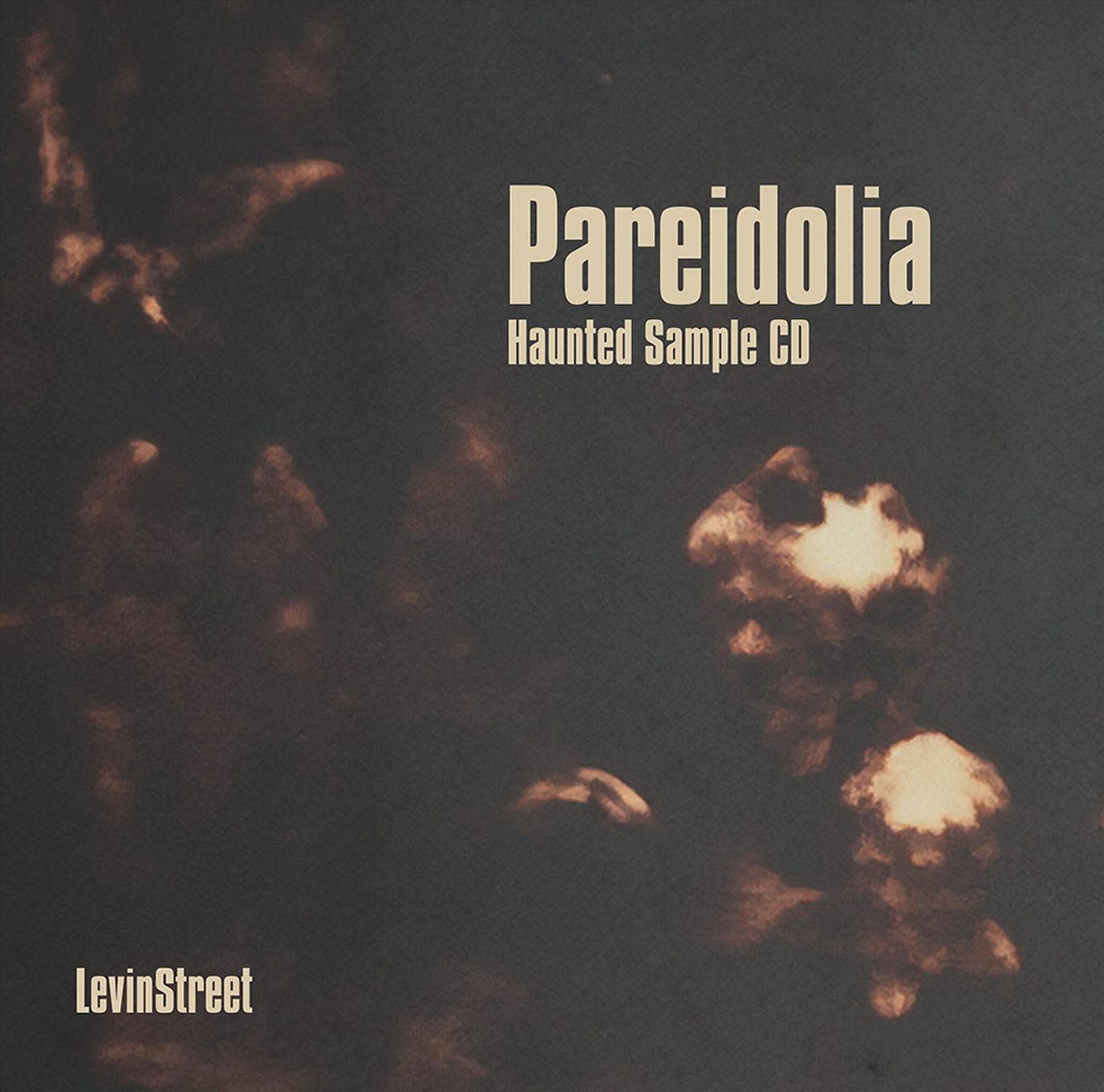 Pareidolia artwork